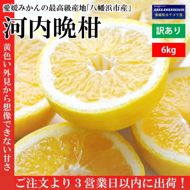 河内晩柑 訳あり 6kg 愛媛県産 果物 みかん専門店 厳選 夏 さわやか 甘い 完熟 チルド便発送の通販はau Pay マーケット みかんの花 商品ロットナンバー 河内晩柑 訳あり 6kg 愛媛県産 果物 みかん専門店 厳選 夏 さわやか 甘い 完熟 チルド便発送の通販はau Pay マーケット みかんの花 商品ロットナンバー