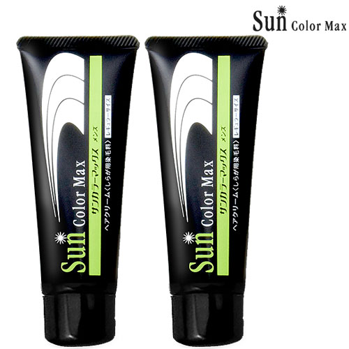 素晴らしい価格 セット ケンコー サンカラーマックス 2 男性用 ヘアカラー 送料無料 75g メンズ カラーリング Rideshare2vote Com