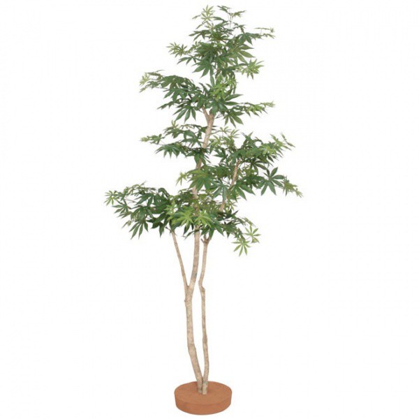 超特価激安 人工植栽 タカショー グリーンデコ和風 もみじ 鉢無 1 5m Gd 191s 数量限定 特売 Olsonesq Com