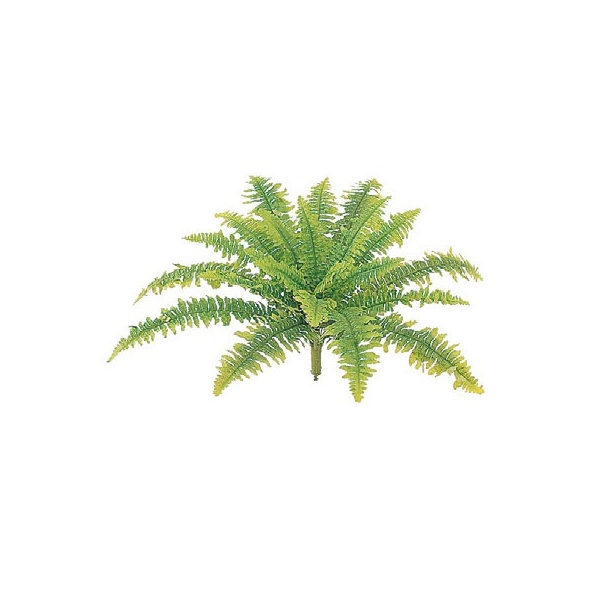 人工植栽 タカショー 和風下草 タマシダ小 W30cm Gn 39s の通販はau Pay マーケット キロwowma 店 商品ロットナンバー