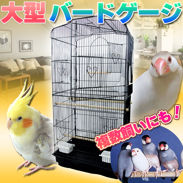 リアルサープラス 鳥かご バードゲージ 鳥小屋 大型 複数飼い セキセイインコ オカメインコ 文鳥 ケージ ゲージ 鳥がご ブラック ペットグッズ 日本最大級 Carlavista Com