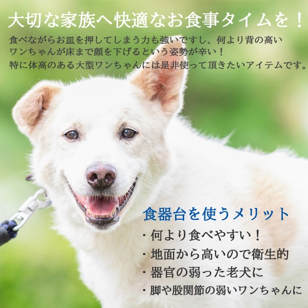 残りわずか 大型犬 フードボウル スタンド テーブル 餌入れ 犬 食器スタンド ラブラドール ゴールデン レトリーバー ステンレス アイアン 高さ約30 絶賛レビュー続出 Carlavista Com