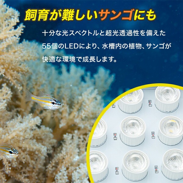 水槽 Led ライト 海水魚 サンゴ 水槽用 165w カスタム 本体 Uv6個 バイオレット6個 プリズムレンズ 省エネ 珊瑚 熱帯魚 水草 調光 アクアの通販はau Pay マーケット バリュー 商品ロットナンバー