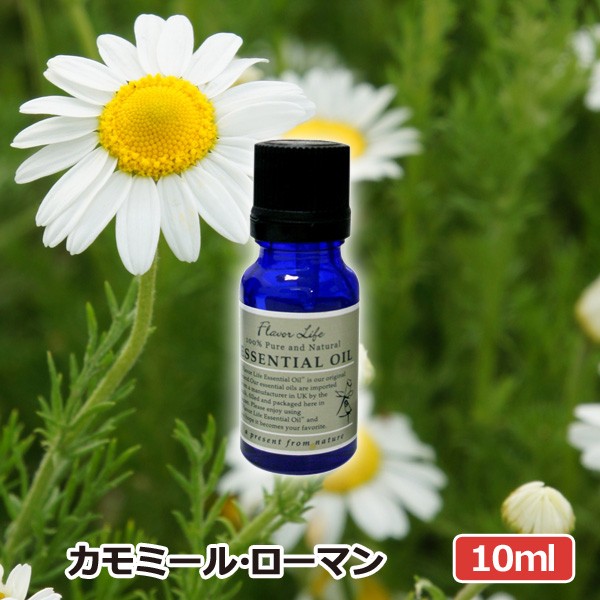 ランキング受賞 アロマオイル フレーバーライフ エッセンシャルオイル カモミールローマン 10ml 信頼 Www Iacymperu Org