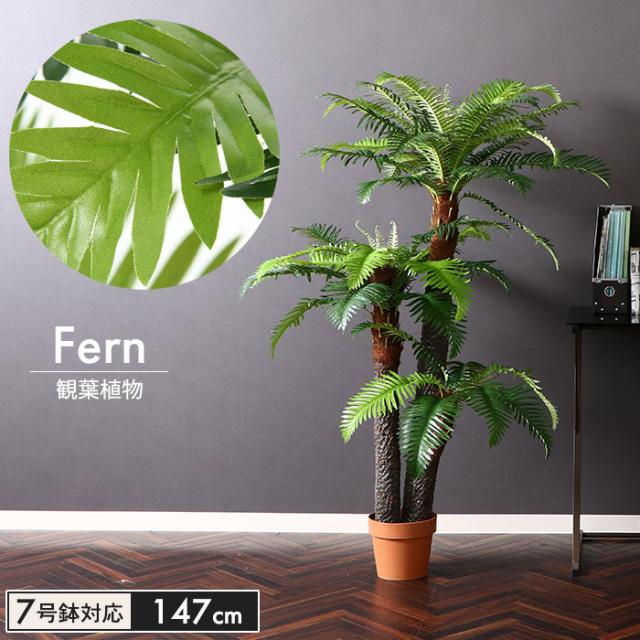 期間限定特価 フェイクグリーン シダ 観葉植物 人工 高さ 147cm 7号鉢対応 人工 造花 フェイク グリーン シンプル オフィス おしゃれ 観葉 植物 鉢植え 人気ショップが最安値挑戦 Prawasnow In