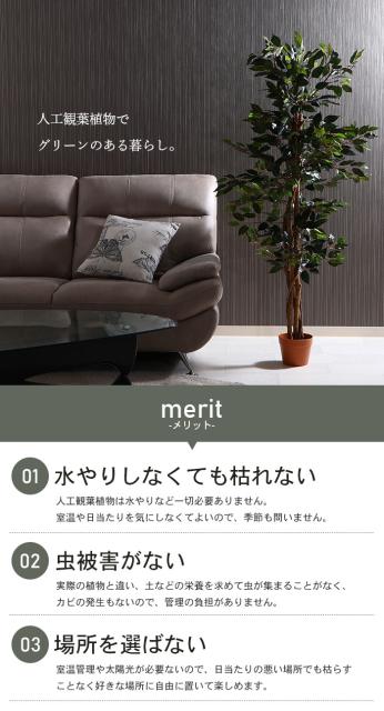 激安の フェイクグリーン フィカス 観葉植物 人工 高さ 150cm 6号鉢対応 人工 造花 フェイク グリーン シンプル オフィス おしゃれ 観葉 植物 鉢 超目玉 Olsonesq Com