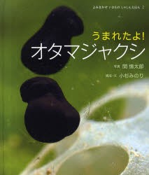 新品 うまれたよ オタマジャクシ 関慎太郎 構成 写真 文 期間限定 最安値挑戦 小杉みのり