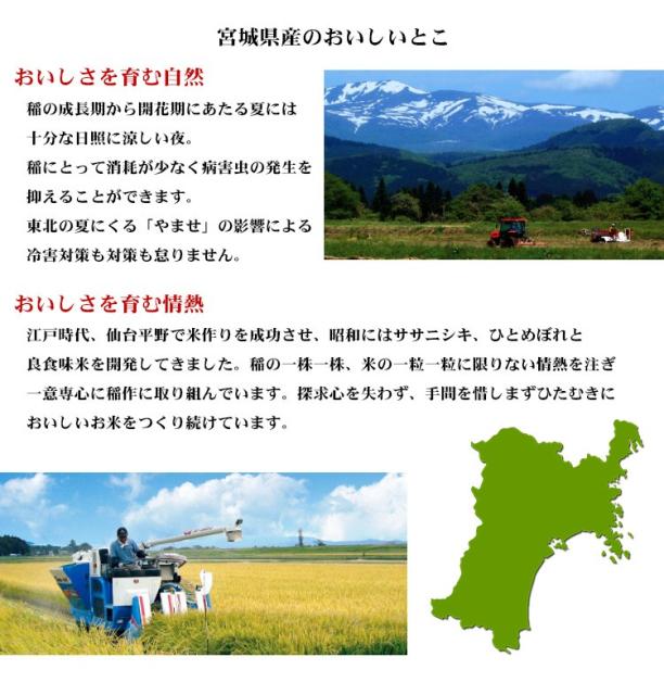 激安単価で 米 20kg 宮城県産 ひとめぼれ 5kg×4袋 令和2年 お米 20kg 