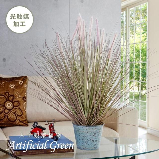 上質風合い 人工観葉植物 フェイクグリーン キャッツテールグラス バケツ入 Sサイズ 光触媒 おしゃれ インテリア 造花 毎回完売 Gdpcambodia Org