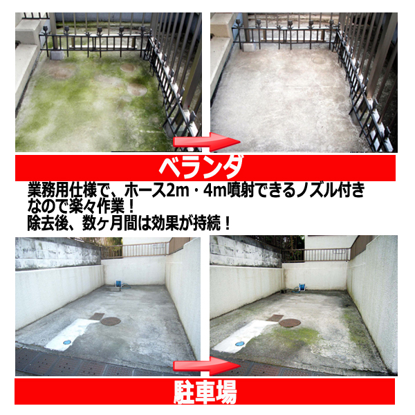 即納最大半額 業務用コケカビ取り4l 4m噴射ノズル付 カビ掃除 コケ掃除 スプレーするだけ 屋外 除去 ベランダ ブロック塀 外壁 墓石 タイル 保障できる Alimamiy Ru