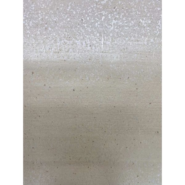 大人も着やすいシンプルファッション Washilife 和紙来歩 煌 白夜 代引不可 代引不可 6449 その他花 ガーデン エクステリア Diy工具 桂セレクション 白夜 直送 名作