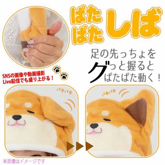 耳が動く ぱたぱたキャップ ぱたぱた帽子 ぱたぱたしば ぴょこぴょこ動く 犬 わんこ ワンコ キャップ かぶりもの Sns 動画 配信の通販はau Wowma ワウマ やるcan 商品ロットナンバー