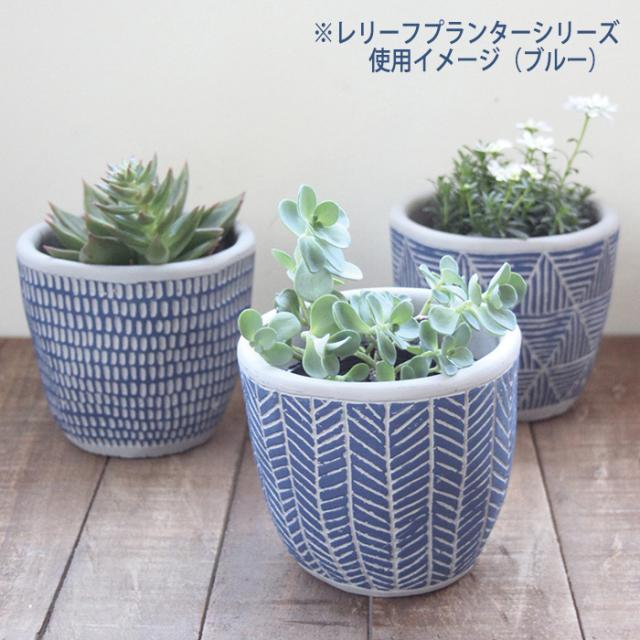 すべての美しい花の画像 ロイヤリティフリー多肉植物 鉢 おしゃれ