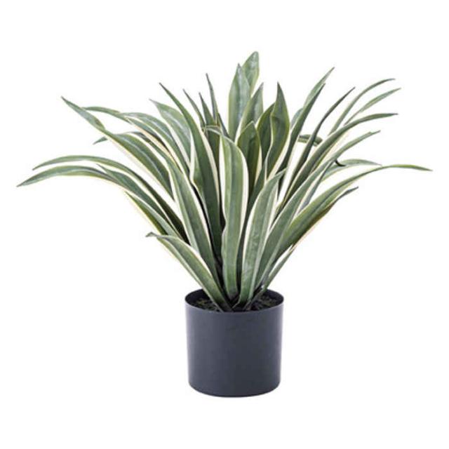 おしゃれ人気 北海道 沖縄 離島配送 フェイクグリーン アガベ 人工観葉植物 人工植物 造花 鉢植え インテリア 室内 装飾 東谷 Grn 13 人気ブランド Carlavista Com