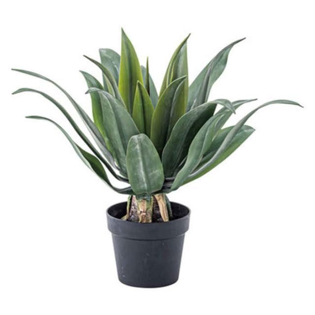 正規販売店 北海道 沖縄 離島配送 フェイクグリーン アガベ 人工観葉植物 人工植物 造花 鉢植え インテリア 室内 装飾 東谷 Grn 14 進化版 Www Endocenter Com Ua