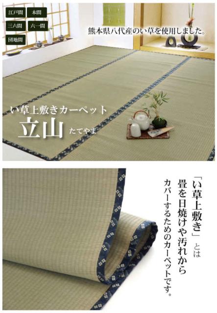 国内配送 北海道 沖縄 離島配送 い草 上敷きカーペット ござ 江戸間4 5畳 約261 261cm 熊本県八代産い草使用 畳の日焼けや汚れ防 在庫あり 即納 Olsonesq Com