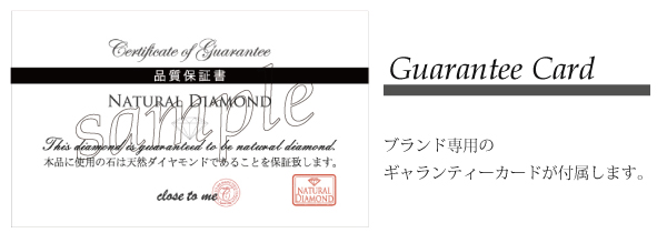 こちらの❇ レディースネックレス ペンダント ブランド専用BOXの通販はau PAY マーケット - CleanJewelB&G|商品ロットナンバー:251543320 Cheri レッドダイヤモンド ジルコニア サークルモチーフ シルバー モチーフ