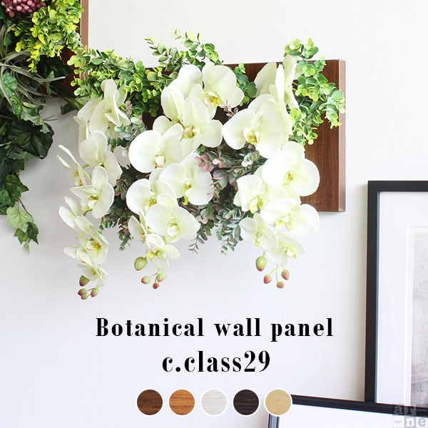 即納最大半額 光触媒 胡蝶蘭 造花 ギフト 蘭 光触媒フラワー 壁掛け パネル 観葉植物 光触媒観葉植物 除菌 消臭 おしゃれ Botanical C Class 29 レビューで送料無料 Wsenergy Com Br