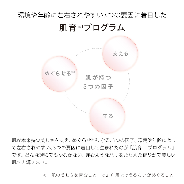 について リファビューテック Pay マーケット Mtg Onlineshop 株式会社mtg公式通販サイト