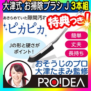 大津式お掃除ブラシj 3本組 掃除のプロ大津たまみさん監修 日本製 掃除ブラシ 先端j形状 角や隙間をラクラク掃除 プロイの通販はau Pay マーケット マツカメショッピング 商品ロットナンバー 263498765