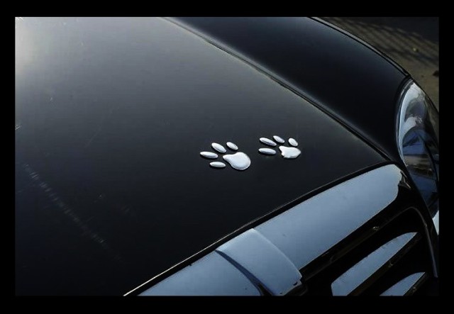 車 エンブレム ステッカー 猫 Kuruma