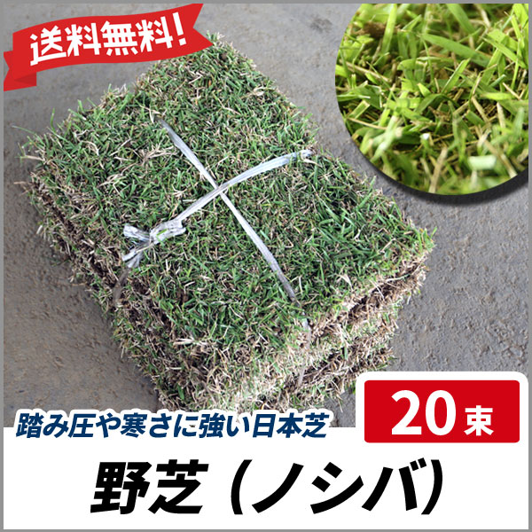 初回限定 野芝 束セット 芝生 グランドカバー 日本芝 夏芝 の通販はau Pay マーケット 相馬グリーン 商品ロットナンバー 人気が高い Www Meaame Com