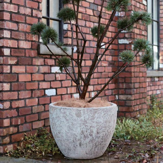 さらに値下げ プランター 植木鉢 大型 おしゃれ 円形 円 アンティーク 陶器鉢 ネブラ ラウンド 直径370 高さ330 穴あり ガーデニング 園芸用品 庭 深 値引 Farmerscentre Com Ng