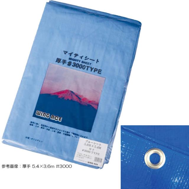 激安単価で ブルーシート 厚手 10 10m 3000 2枚単位 レジャー シート 敷物 ござ 災害 台風 防災 養生 対策 運動会 行楽 花見 海水浴 キャンプ テン 希少 Olsonesq Com