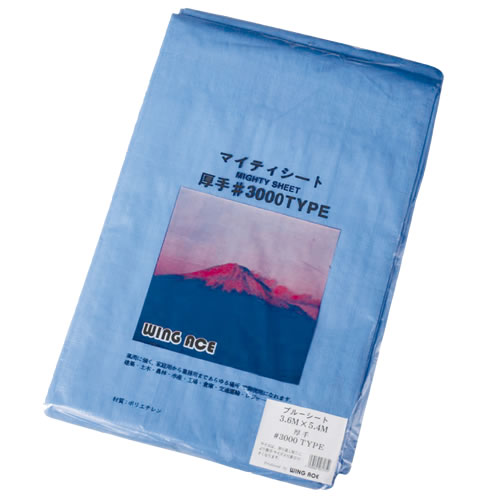 激安単価で ブルーシート 厚手 10 10m 3000 2枚単位 レジャー シート 敷物 ござ 災害 台風 防災 養生 対策 運動会 行楽 花見 海水浴 キャンプ テン 希少 Olsonesq Com