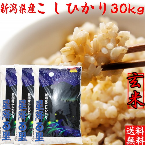 玄米 30kg 送料無料 特ａ 令和３年 新潟産 コシヒカリ 玄米 30kg 送料