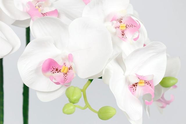 ルーミールミナス 胡蝶蘭 豪華5本立て 黄鉢 お祝い 実用的 贈り物 プレゼント コードレス 電池式 Led 花 ギフト 照明 グランドルミナスの通販はau Pay マーケット 神棚 神具 仏具 やまこう 商品ロットナンバー