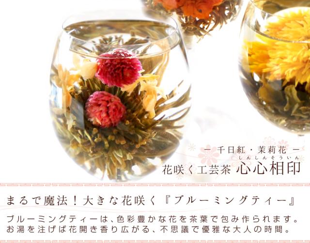 別注 花 咲くジャスミン茶 茉莉花と千日紅 心心相印 業務用 90個入 30個入 3袋 工芸茶 お茶 ブルーミングティー 送料無料 決算特価 送料無料 Keita Com Br