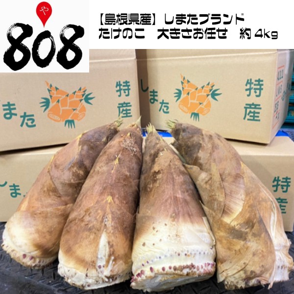 送料無料 島根県産 しまたブランドのたけのこ 約4kg 北海道沖縄別途送料加算 タケノコ の通販はau Pay マーケット 808青果店 商品ロットナンバー