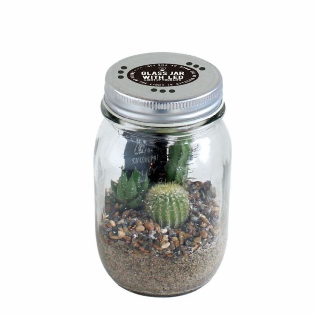 超歓迎 Spice スパイス Glass Jar With Led Saboten L Size 8s07 8個 ガーデン 植物 サボテン 多肉 人気が高い Olsonesq Com