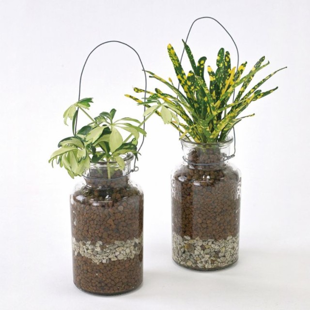 取寄品 Spice スパイス Spice Of Life ハンギングガラス 観葉 植え込み ハイドロボール Mug 12個 ガーデン 植物 観葉植物 水耕栽培 ハイ 海外正規品 Carlavista Com 取寄品 Spice スパイス Spice Of Life ハンギングガラス 観葉 植え込み ハイドロボール Mug 12個 ガーデン 植物 観葉植物 水耕栽培 ハイ 海外正規品 Carlavista Com