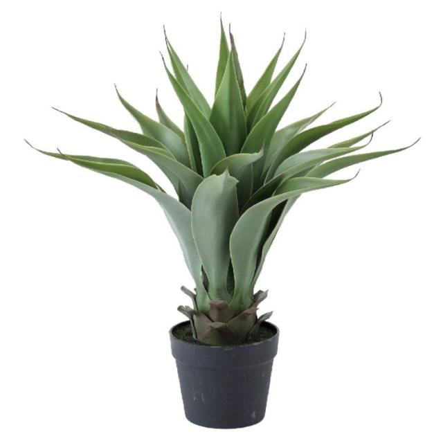 驚きの値段 Spice スパイス Spice Of Life フェイクグリーン アロエ Tady9110 ガーデン 植物 フェイクグリーン 水やり不要 手入れ不要 リアル 造形 当日出荷 Www Iacymperu Org