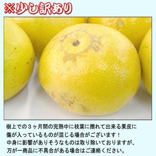 送料無料 ゴールデンオロブロンコ 7 10玉 約2 5kg M Sサイズ 幻のグレープフルーツ 訳あり 柑橘 完熟 季節限定 店長イチオシ 大阪常の通販はau Wowma ワウマ 伊勢の国の美味いもの 魚佐太 商品ロットナンバー