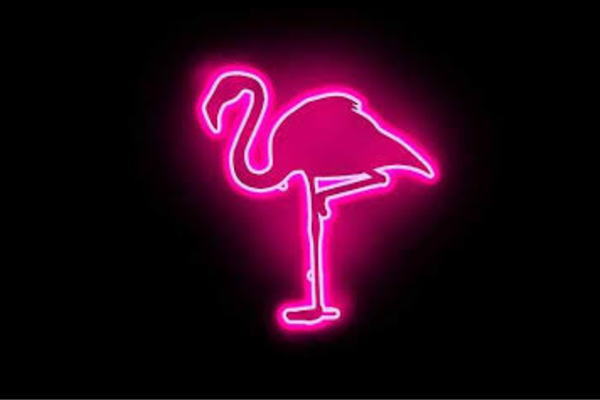 本店は ネオン Flamingo フラミンゴ ふらみんご 鳥 とり トリ 動物 アニマル ネオンライト 電飾 Led ライト 最先端 Easyrecipes Online