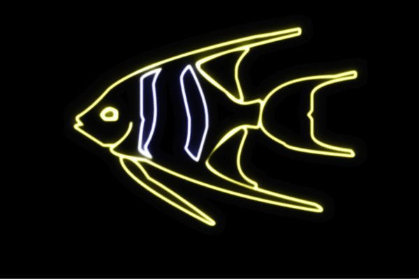 即納 ネオン お魚 27 魚 フィッシュ さかな サカナ Fish 海 うみ ネオンライト 電飾 Led ライト サ その他ライト 照明 Lyrebirdcricket Com Au