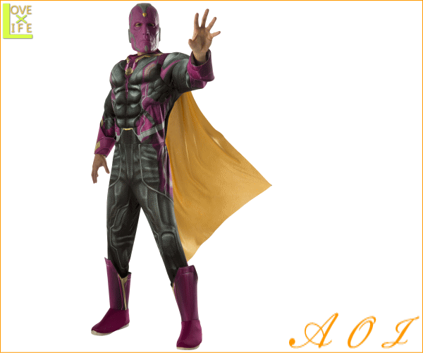 全国組立設置無料 メンズ アベンジャーズ Dx ヴィジョン Vision マーベル ヒーロー コスチューム 衣装 イベント かっこいい 返品送料無料 Mawaredenergy Com
