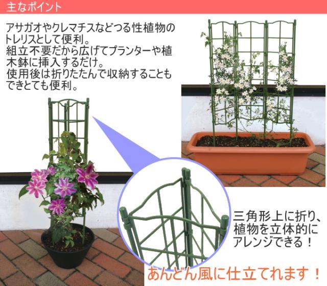 フラワーパネル トリプル ガーデニング 家庭菜園 観葉植物 支柱の通販はau Pay マーケット Joyアイランド 商品ロットナンバー フラワーパネル トリプル ガーデニング 家庭菜園 観葉植物 支柱の通販はau Pay マーケット Joyアイランド 商品ロットナンバー