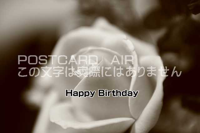 誕生日のお祝いポストカード Happy Birthday 薔薇の白黒葉書ハガキ Photo By Miro