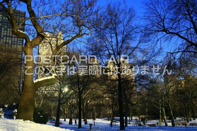 アメリカの風景 ニューヨークのポストカード マンハッタンの風景のハガキ Photo By Miro