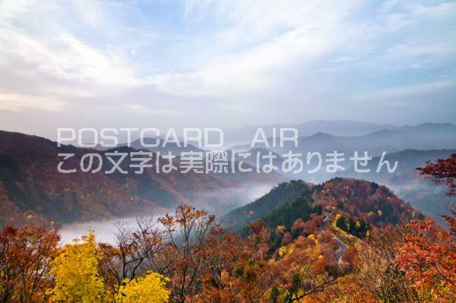 滋賀県 高島市 おにゅう峠の雲海と紅葉のポストカード葉書はがき Photo By絶景 Com