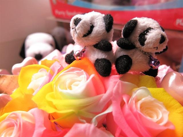 21新作モデル パンダ入り 花束風ギフト レインボーローズ 5 プリザーブドフラワー入り ケース付き 新色登場 Conetica Com Mx