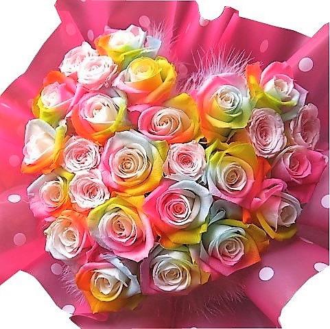 在庫一掃 プリザーブドフラワー レインボーローズ cm 30cm ケース付き カラフル レインボーローズ ハート フラワーギフト 誕生日プレ 最新の激安 Www Sseptp Org