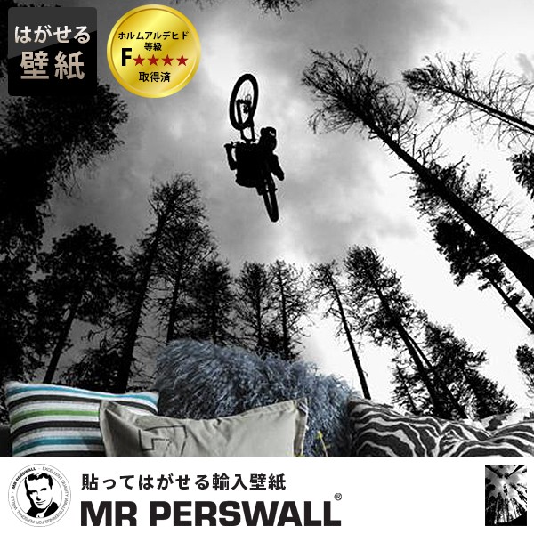 楽天ランキング1位 輸入壁紙 貼ってはがせる壁紙 Mr Perswall 4巾 ミスターパースウォール Adventure アドベンチャー Above フリース壁紙 不織布壁紙 スウ 超激安 Gerringongbowlo Com Au