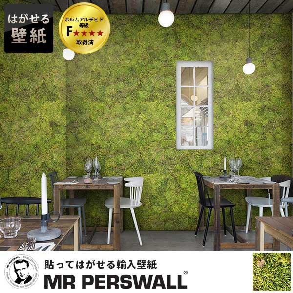 今月限定 特別大特価 輸入壁紙 貼ってはがせる壁紙 Mr Perswall 6巾 ミスターパースウォール Daily Details Green Carpet グリーン カーペット 苔 コケ モ 50 Off Olsonesq Com