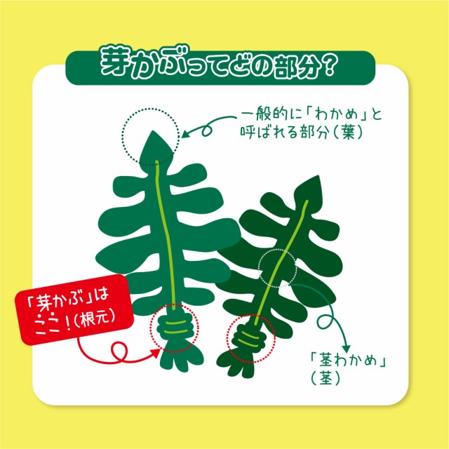 最大88％オフ！ ショップりす山NISHI ニシ スポーツ ネモ