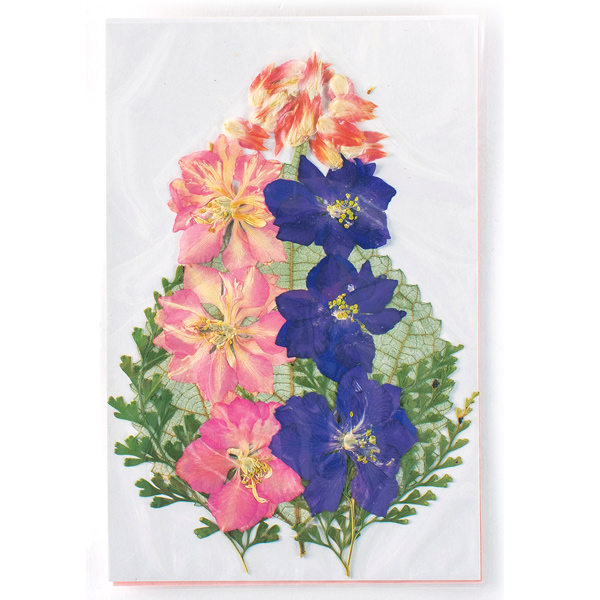 ランキング入賞商品 押し花キット 押し花ミックスb Ff603m B 21福袋 Www Theitgroup It